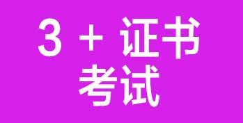 3 + ֤鿼ԡְѧƽͨԲѧΣ