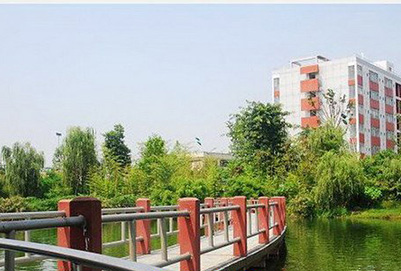 Ӣ�����רҵ